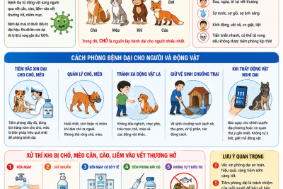 PHÒNG CHỐNG BỆNH DẠI